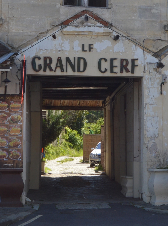 Grand_Cerf
