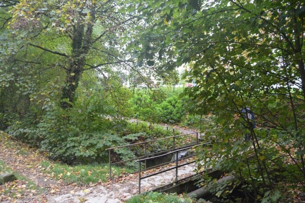 Petit_pont_sur_Aubette